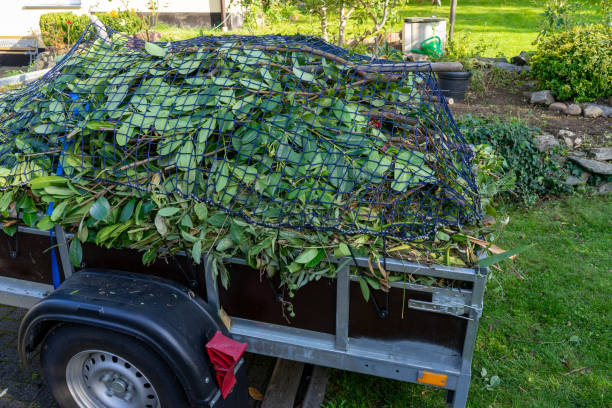 Best Commercial Junk Removal  in Cadiz, KY